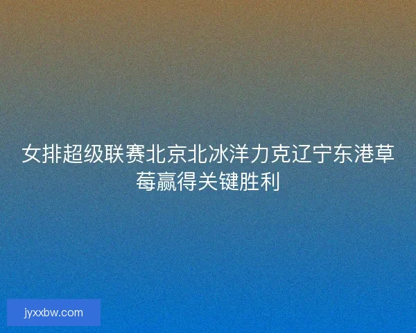 女排超级联赛北京北冰洋力克辽宁东港草莓赢得关键胜利